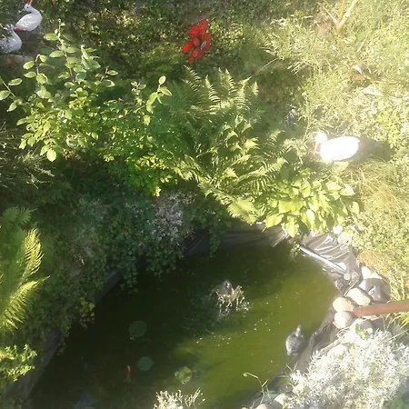 Dom Pod Roza * ليشنا