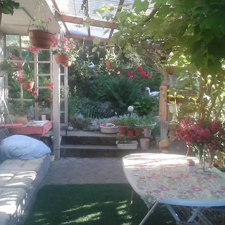 Dom Pod Roza * Leśna