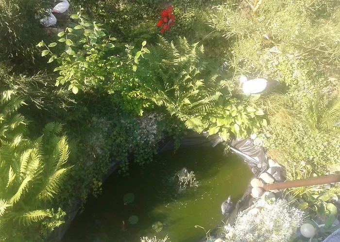 Dom Pod Różą * Leśna